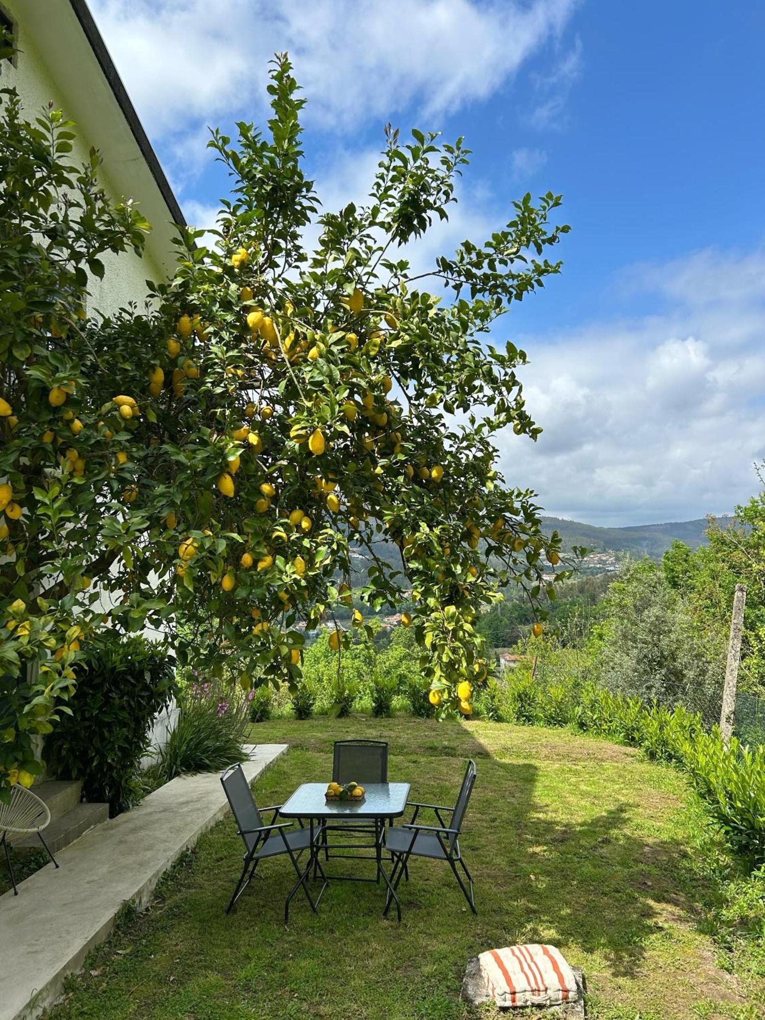 Casa De Fraguas Villa Arouca Buitenkant foto